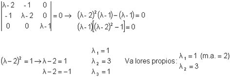 Diagonalizacion De Matrices Ejercicios Resueltos Pdf