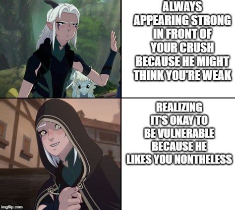 Rayla and Callum are so cute together : r/TheDragonPrince