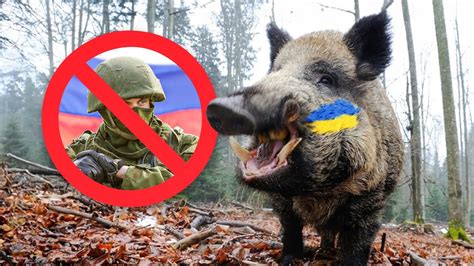 ⚡️Український кабан “ВПОЛЮВАВ" російську ДРГ на кордоні 👉 Є ЖЕРТВИ ...
