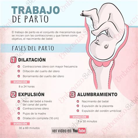 Fases Del Parto Trabajo De Parto En Consejos Para El Embarazo