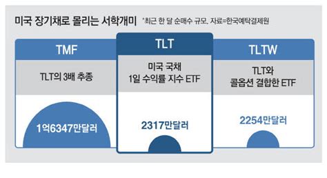 美장기채 Etf 3형제 몰려드는 서학개미