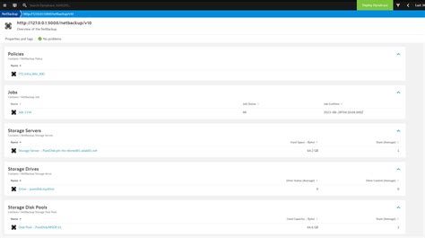 Veritas Netbackup monitoring & observability | Dynatrace Hub