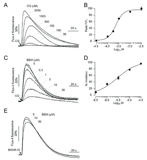 Effect Of Berbamine On Cq Induced Activation Of Mrgpra A