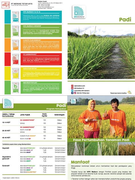 Brosur Program Pemupukan Padi Ss Ammophos Urea Kpb Kkb Pdf