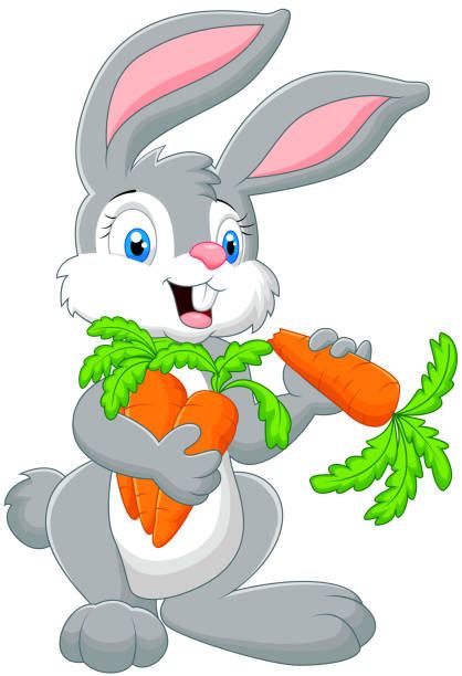 Rabbit Eating Carrot Illustrations Royalty Free Vector Graphics And Clip Art Istock