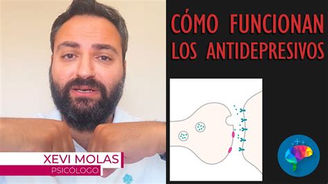 C Mo Funcionan Los Antidepresivos Como El Prozac Youtube