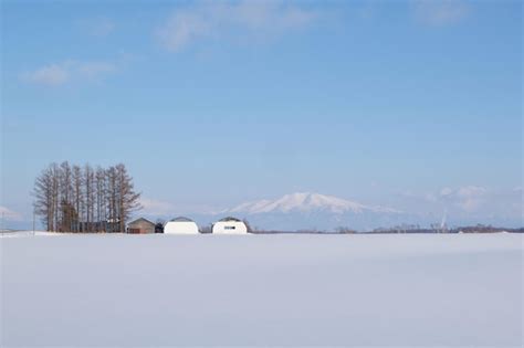 premium photo biei village snow winter hokkaido japan