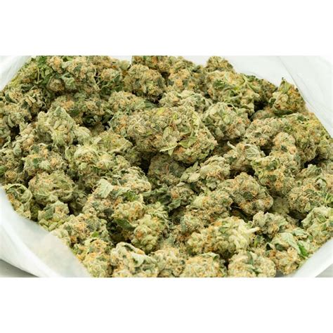Alaskan Thunder Fuck Rare Sativa By Weed Deals