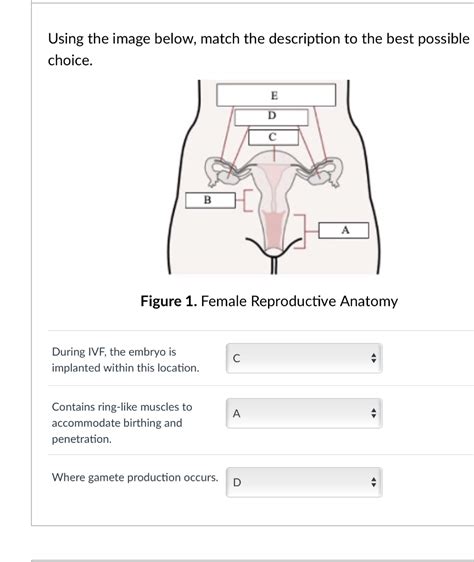 Solved Using The Image Below Match The Description To The Chegg