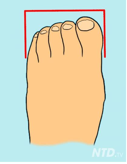 Aqu Hay Tipos De Dedos De Los Pies Y Las Fascinantes Pistas Que