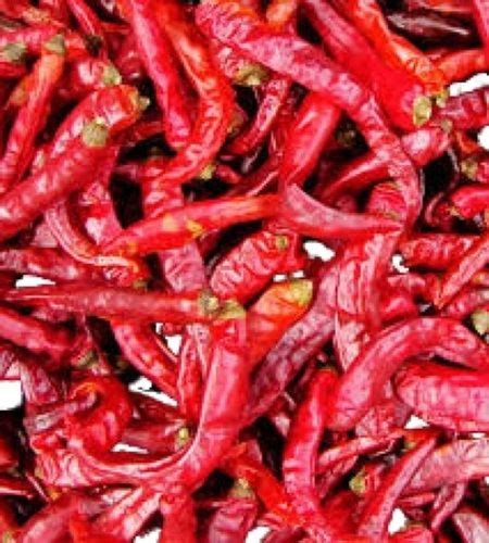 Piece A Grade Spicy Raw Dried Red Chilli At Best Price In Salem S R