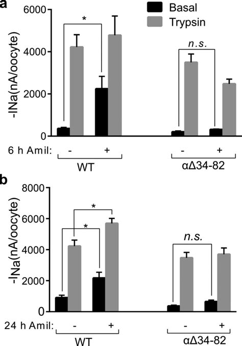 Amiloride Stimulation Of Ina Is Impaired In Enac A Oocytes