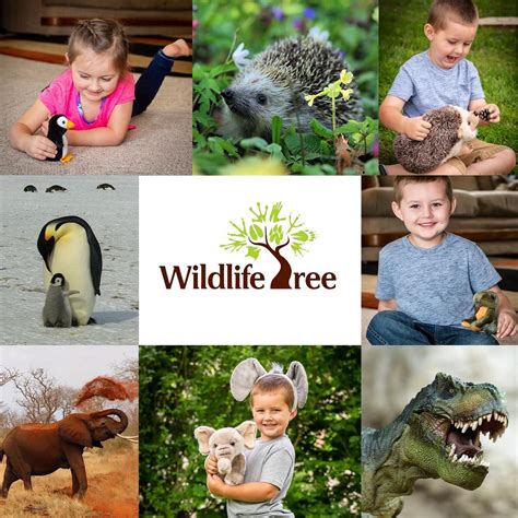 We Here At Wildlife Tree Are Focused On Educating People To Care For