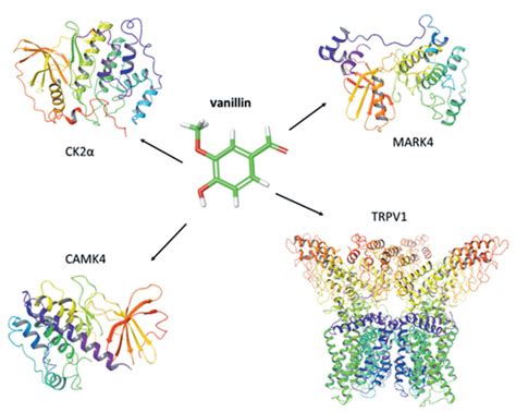 Four Vanilloid Receptors Play Significant Roles In The Response Of