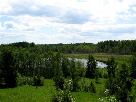 “Парк редких растений” - Национальный парк Нарочанский