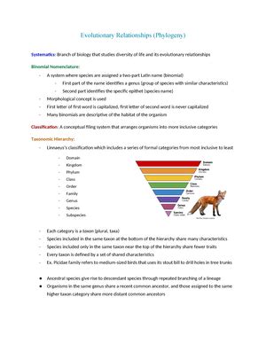 Bio Cycle Part Good Copy Ecology In The Anthropocene