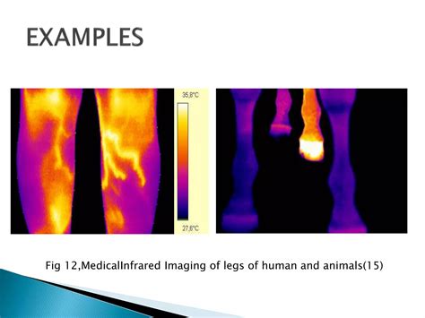 Infrared Thermography Ppt Free Download