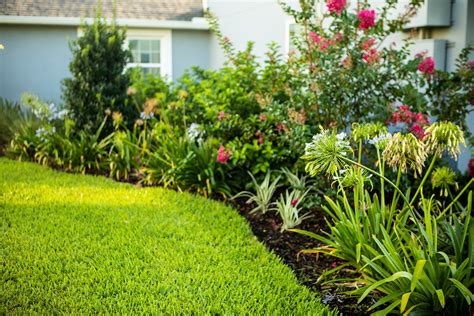 7 Landscape Design Tips For Perfect Plantings At Your Orlando Fl Home