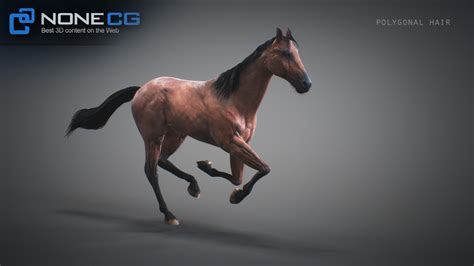 Nonecg 3d Models Animated 3d Horses 3dsmax