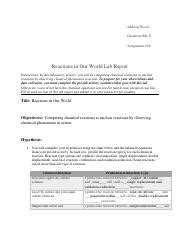 4 06 Reactions In Our World Lab Report AW Pdf Addison Wood Chemistry