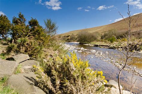 Breamish Valley in spring – South Meadows