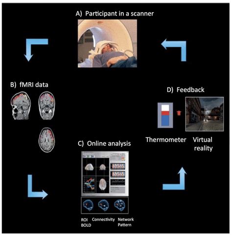 Overview Of An Real Time Functional Magnetic Resonance Imaging Download Scientific Diagram