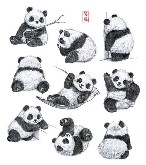 Adorable Panda Drawings And Bear Tattoos