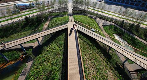 Qunli National Urban Wetland By Turenscape Landscape Architecture