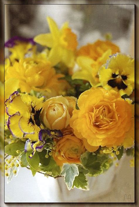 ЦВЕТЫ ГИФ КАР | Wonderful flowers, Beautiful flowers, Pretty flowers