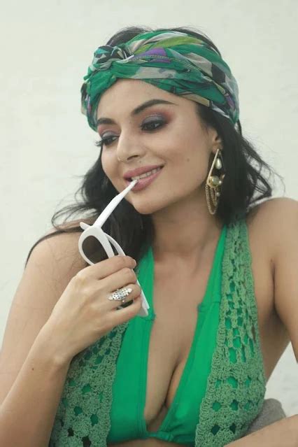 Bigg Boss Sanam Shetty Hot Images Shocking Hot Bikini Pics Of Sanam Shetty