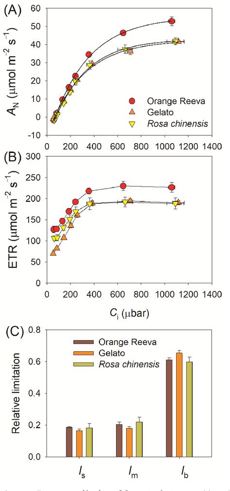 Figure 2 From Variation In Photosynthetic Efficiency Under Fluctuating