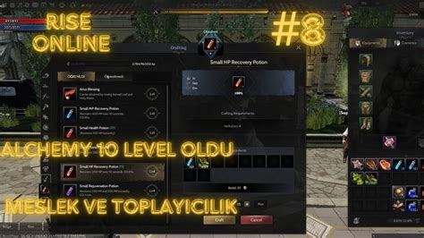 Rise Online Sıfırdan Toplayıcılık ve Meslek Bölüm 8 Zindan alchemy