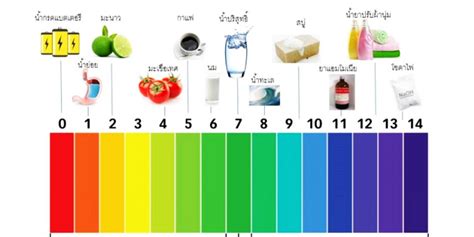 Ph ของสารละลาย เนื้อหารายวิชาเคมี มปลาย Tuemaster เรียนออนไลน์ มปลาย