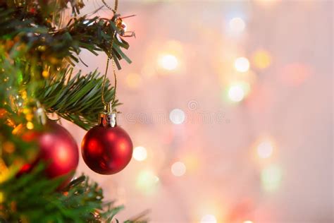 Christmas Decoration Hanging Red Balls On Pine Branches Christmas Tree