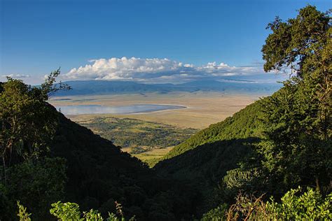 Cratera De Ngorongoro Banco De Imagens E Fotos De Stock Istock