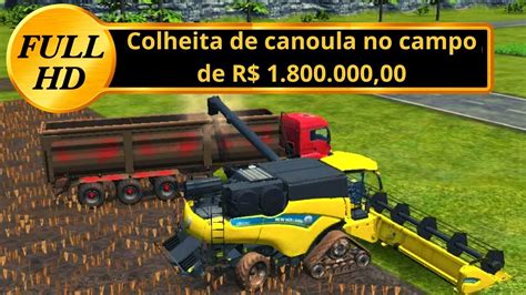 Colheita De Canola No Campo De R Youtube