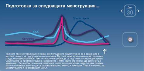 Разберете повече за женския менструален цикъл, овулация и менструация