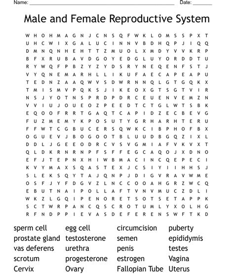 Reproduction Word Search WordMint