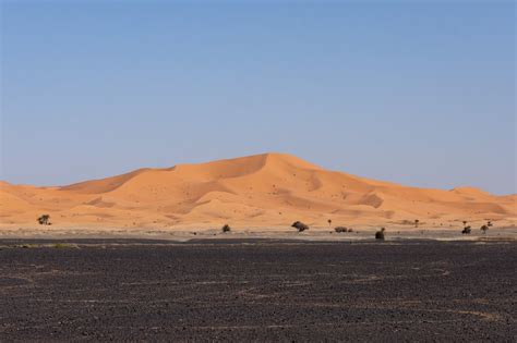 Complètement gaga des dunes de Merzouga Blog voyage