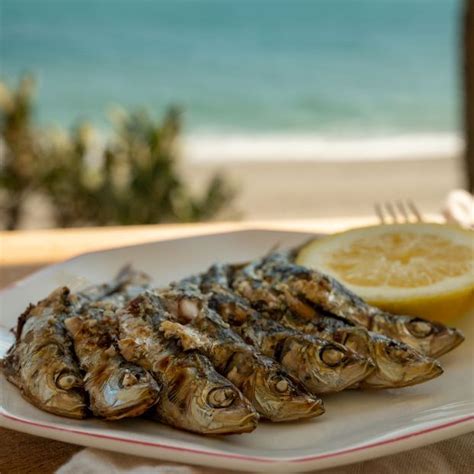 Los Pescados Con Menos Mercurio