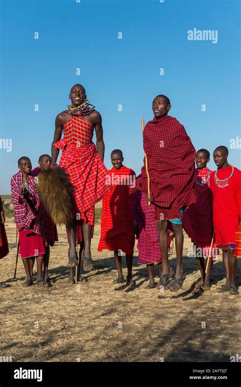 Young Maasai Men Performing A Traditional Jumping Dance In The Masai