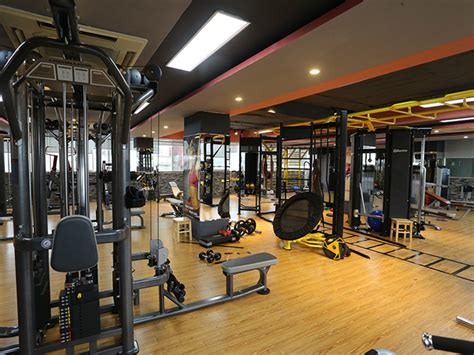 Hướng Dẫn Xây Dựng Phòng Gym Tại Nhà