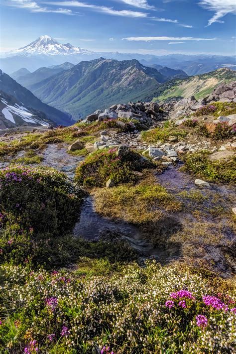 Mount Rainier North Western Images Photos By Andy Porter