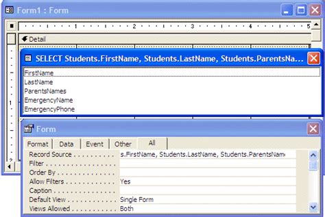 VBA For MS Access Lesson 15 The Queries Of A Database