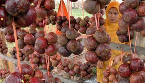 Kemendag Dorong Produk Pertanian Indonesia Masuk Pasar Australia