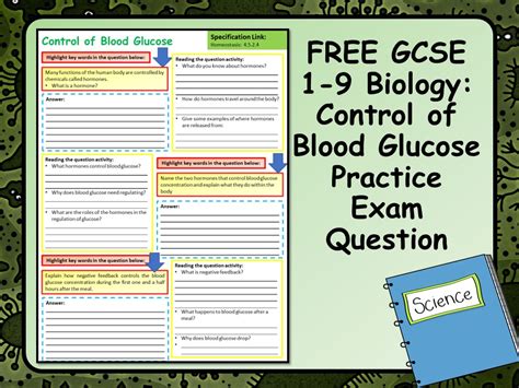 Free Ks4 Aqa 1 9 Biology Science Control Of Blood Glucose Practice