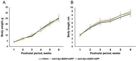 Ijms Free Full Text Overexpression Of Brain And Glial Cell Line