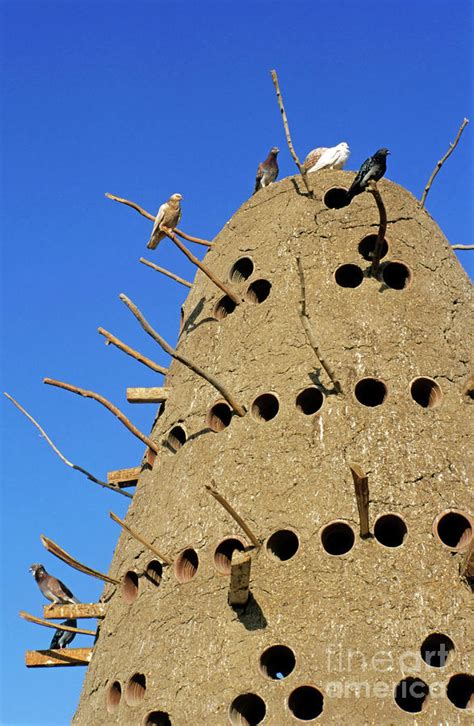 Traditional Egyptian Pigeon House By Sami Sarkis Photography