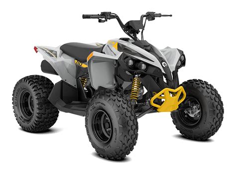 Can Am Renegade Efi The Youth Atv To Start Riding