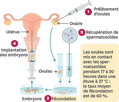 Comment Contr Ler La F Condation Lelivrescolaire Fr